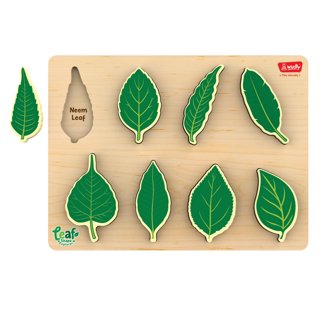 Wudly Wooden Leaf Shape Explorer