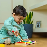 Musical Toys