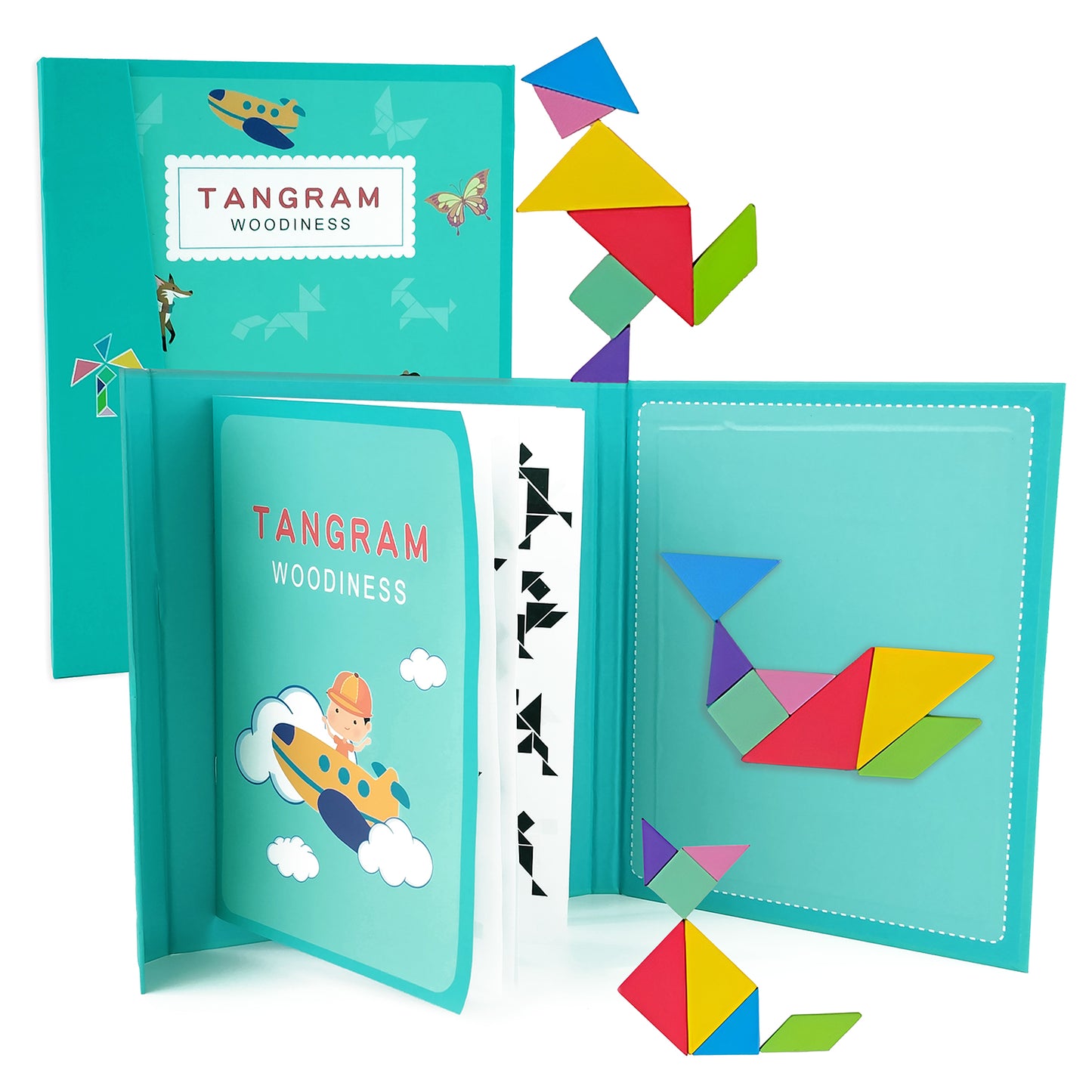 WUDLY Toys Tangram Brain Booster Puzzle