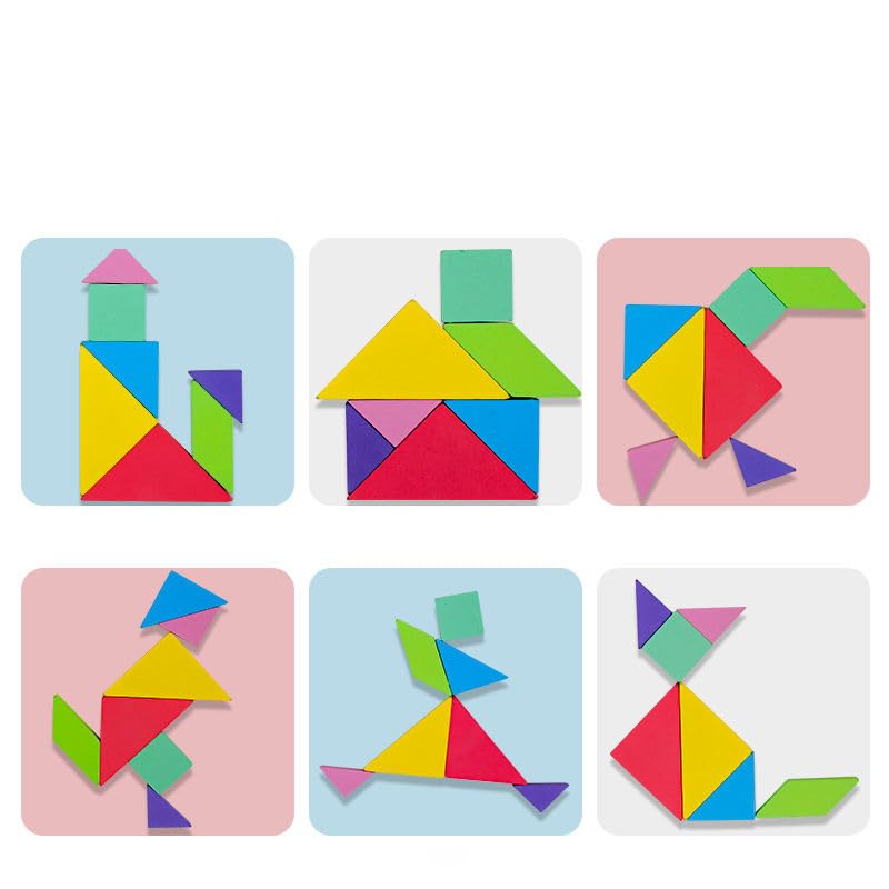 WUDLY Toys Tangram Brain Booster Puzzle