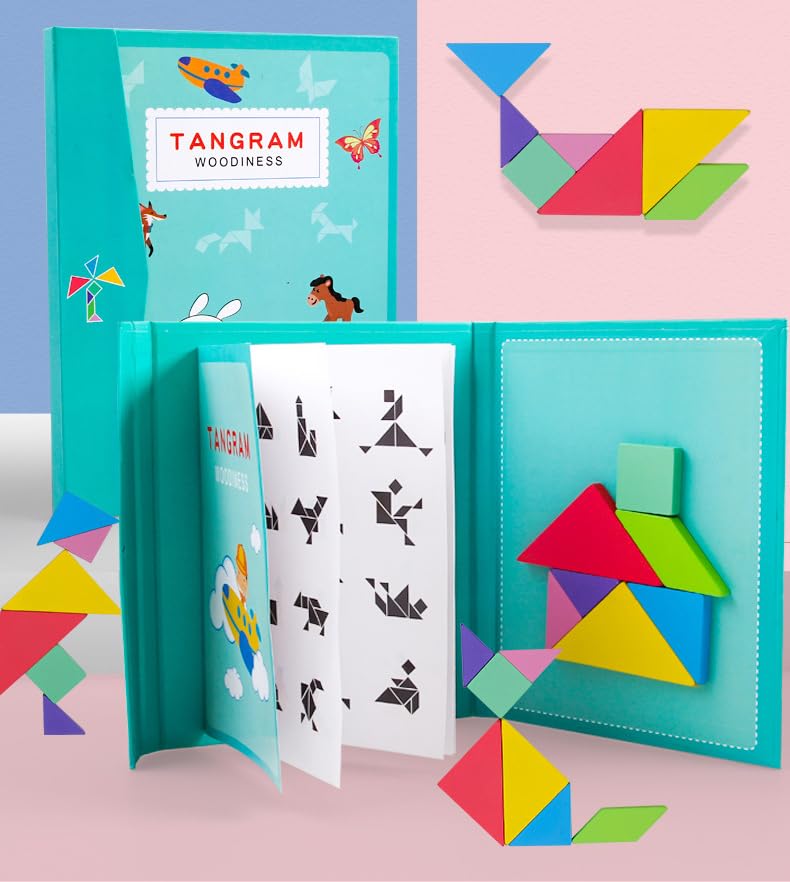 WUDLY Toys Tangram Brain Booster Puzzle