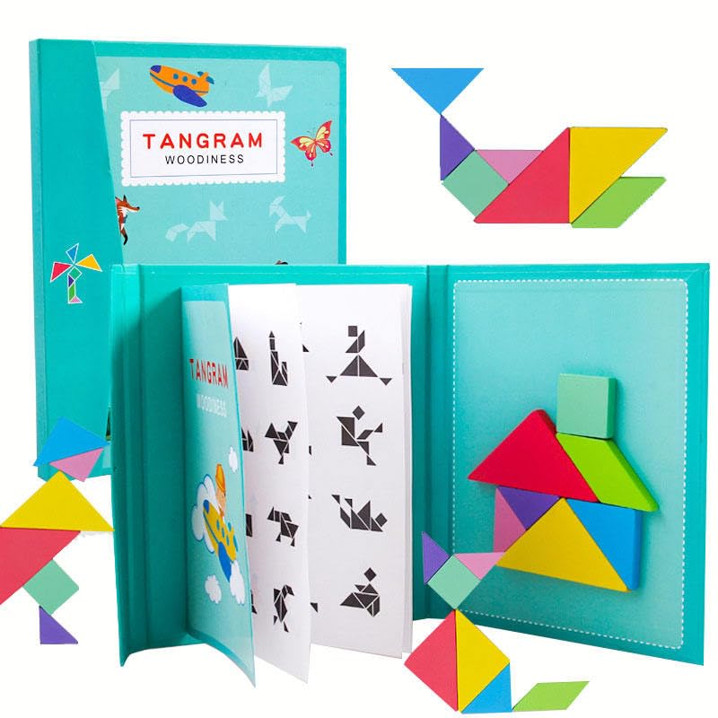 WUDLY Toys Tangram Brain Booster Puzzle