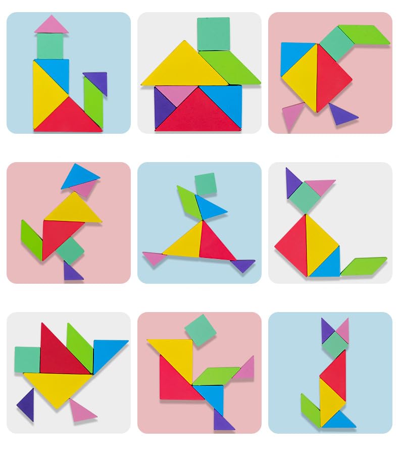 WUDLY Toys Tangram Brain Booster Puzzle