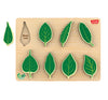 Wudly Wooden Leaf Shape Explorer